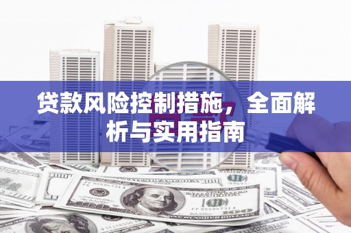 隆安贷款风险控制措施，全面解析与实用指南