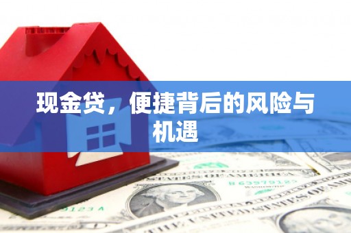 隆安现金贷，便捷背后的风险与机遇