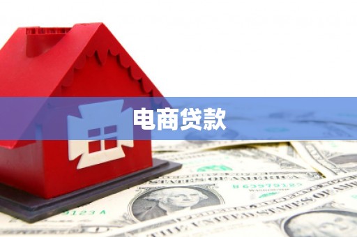 隆安电商贷款