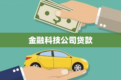 隆安金融科技公司贷款
