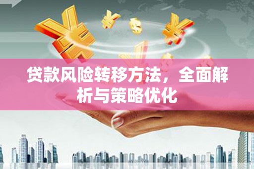 隆安贷款风险转移方法，全面解析与策略优化