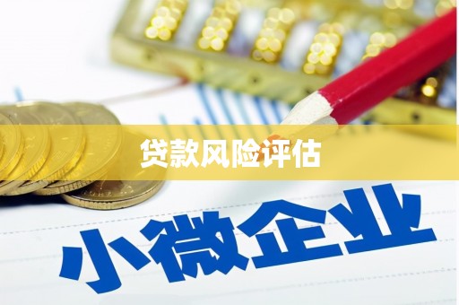 隆安贷款风险评估