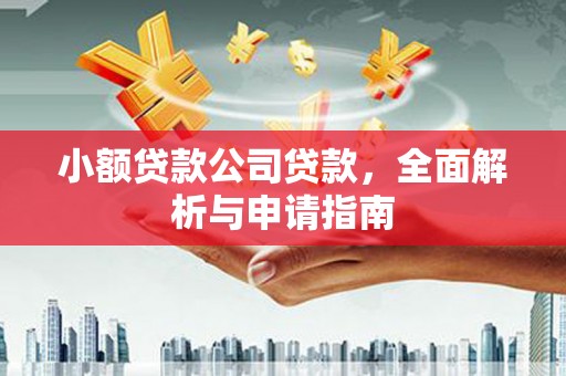 隆安小额贷款公司贷款，全面解析与申请指南
