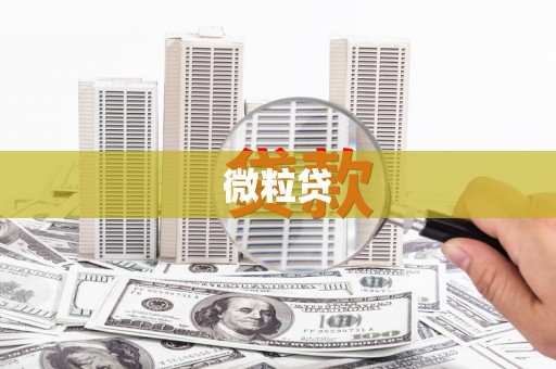 隆安微粒贷