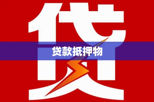 隆安贷款抵押物