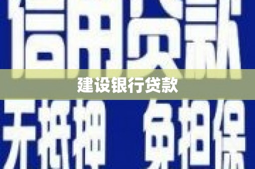 隆安建设银行贷款
