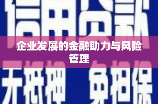 隆安企业发展的金融助力与风险管理