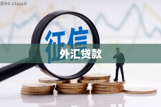 隆安外汇贷款