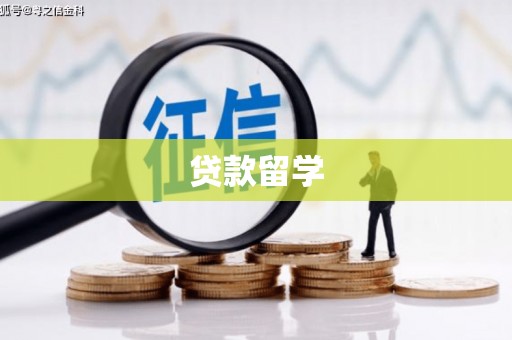 隆安贷款留学