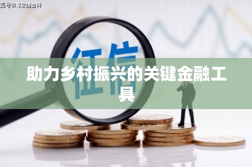 隆安助力乡村振兴的关键金融工具