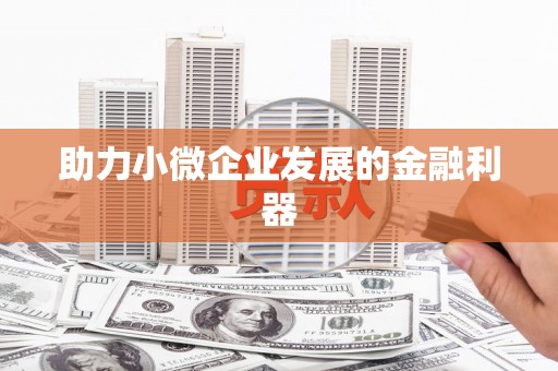 隆安助力小微企业发展的金融利器