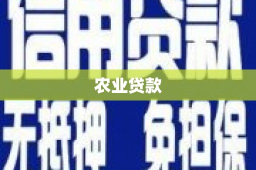隆安农业贷款
