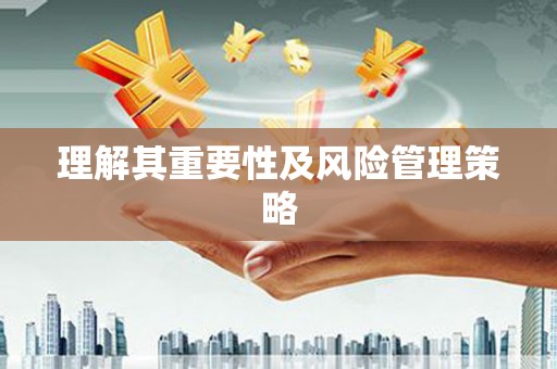 隆安理解其重要性及风险管理策略