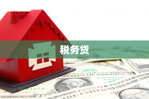 隆安税务贷