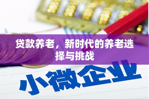 隆安贷款养老，新时代的养老选择与挑战