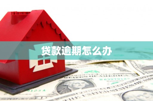 隆安贷款逾期怎么办