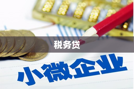 隆安税务贷