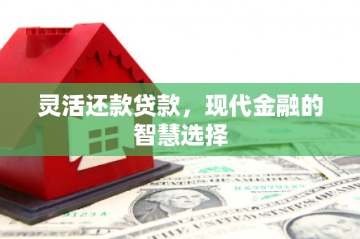 隆安灵活还款贷款，现代金融的智慧选择