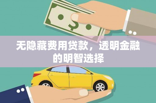 隆安无隐藏费用贷款，透明金融的明智选择