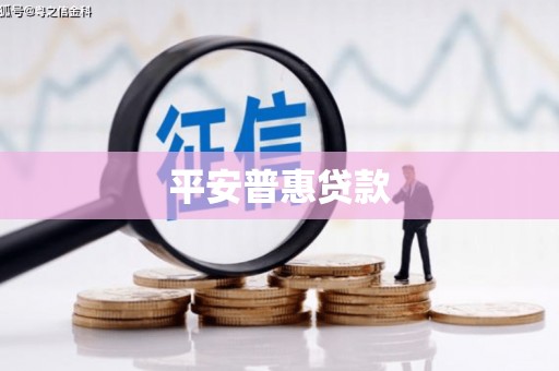 隆安平安普惠贷款