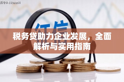 隆安税务贷助力企业发展，全面解析与实用指南