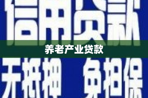 隆安养老产业贷款