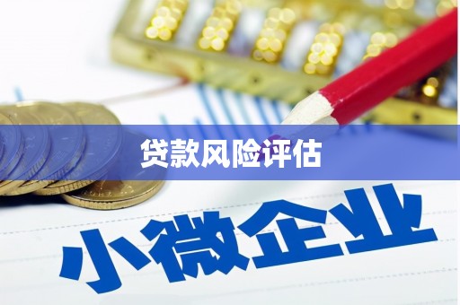 隆安贷款风险评估