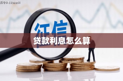 隆安贷款利息怎么算
