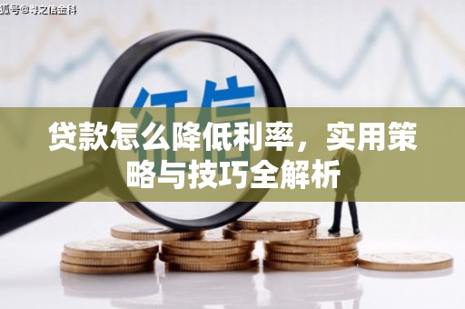 隆安贷款怎么降低利率，实用策略与技巧全解析