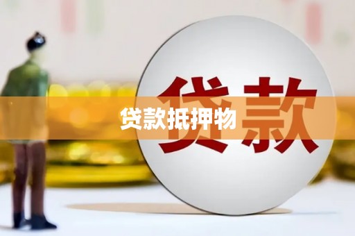 隆安贷款抵押物