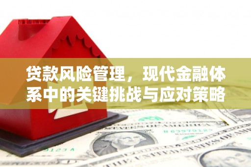 隆安贷款风险管理，现代金融体系中的关键挑战与应对策略