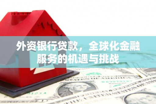 隆安外资银行贷款，全球化金融服务的机遇与挑战