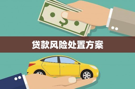 隆安贷款风险处置方案