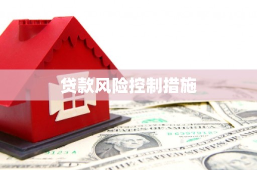隆安贷款风险控制措施