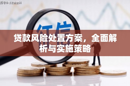 隆安贷款风险处置方案，全面解析与实施策略