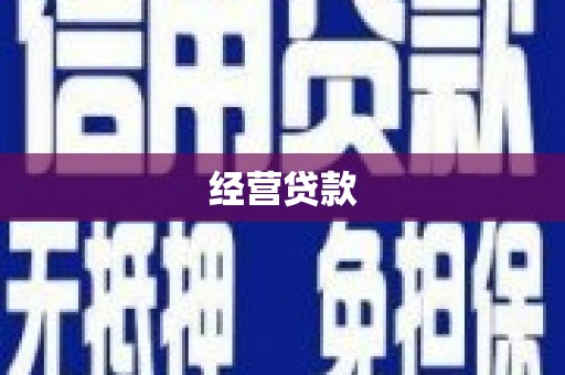 隆安经营贷款