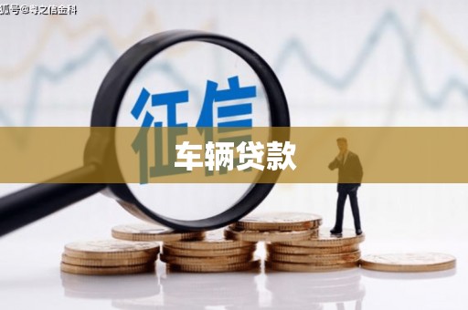 隆安车辆贷款