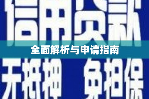 隆安全面解析与申请指南
