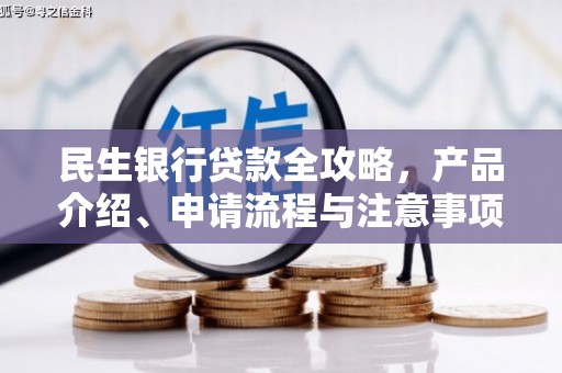 隆安民生银行贷款全攻略，产品介绍、申请流程与注意事项